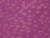 Violet Combo