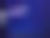 Blue/Feather