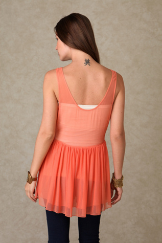Chiffon And Mesh Slip