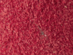 Red Suede