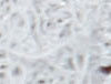 Pale Blue