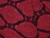 Cranberry