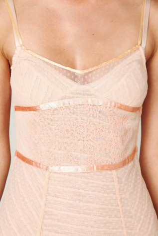 Embroidered Point D'esprit Slip