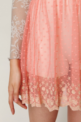 Embroidered Mesh Circle Skirt