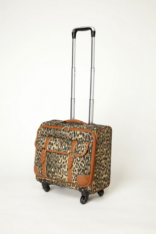 Leopard