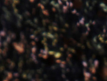 Confetti