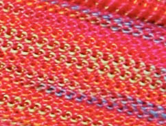 Raspberry