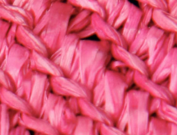 Fuschia