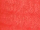 Melon