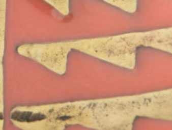 Coral