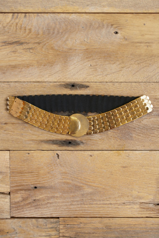Free People Vintage Fishscale Retro Belt