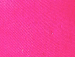 Fuschia
