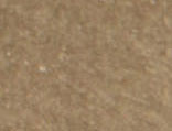 Brass Double Point