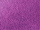 Electric Purple