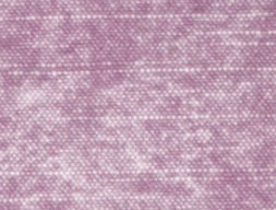 Aubergine