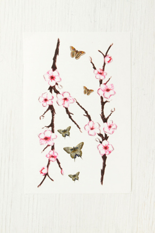 Cherry Blossom