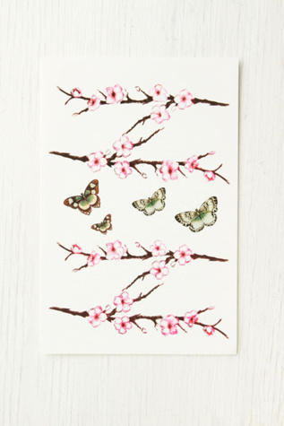 Cherry Blossom
