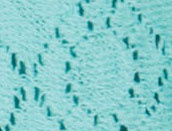 Seafoam