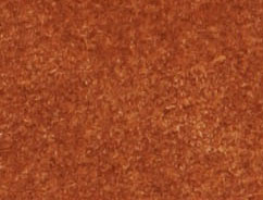 TAN / BLACK
