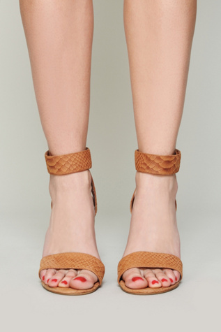 Tan Snake
