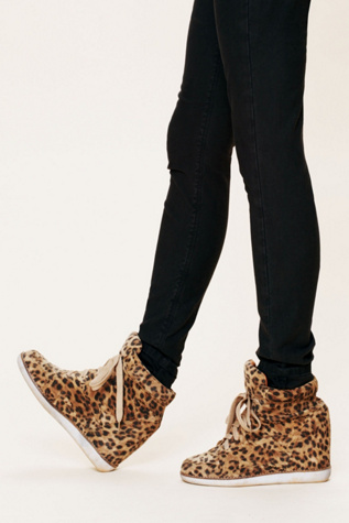 Leopard