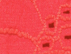 Pimento