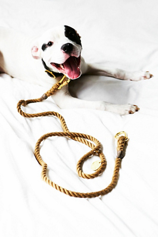 Natural Rope Leash