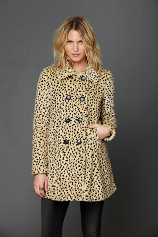 Cheetah