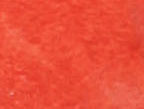 Coral / Panizo