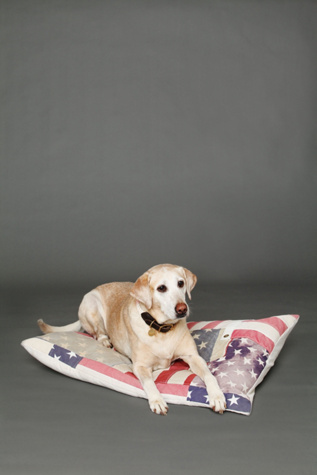 Vintage Flag Dog Bed