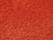 Black/Orange