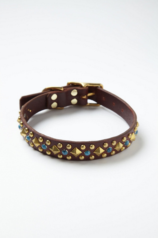 Turquoise Studded Collar in fp-pet-project