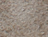 Antic Silver