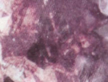 Topaz / Mauve