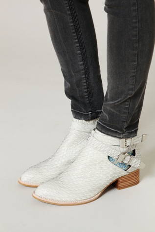 Grey Snake