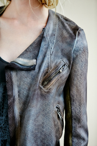 Chocolate-Blue Grey
