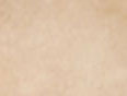 Beige Suede / Gold