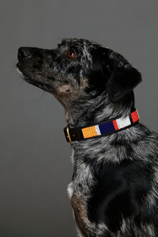 Wewe Jibu Beaded Collar in Pet-Collars