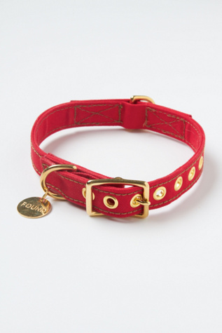 Locket Canvas Collar in fp-pet-project