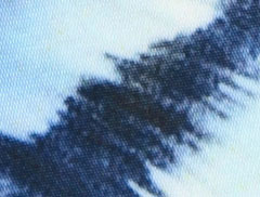 Feather