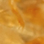 Citrine Orange