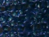 Blue / Navy