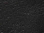 Black Leather