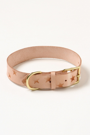 Burnout Star Leather Collar in fp-pet-project